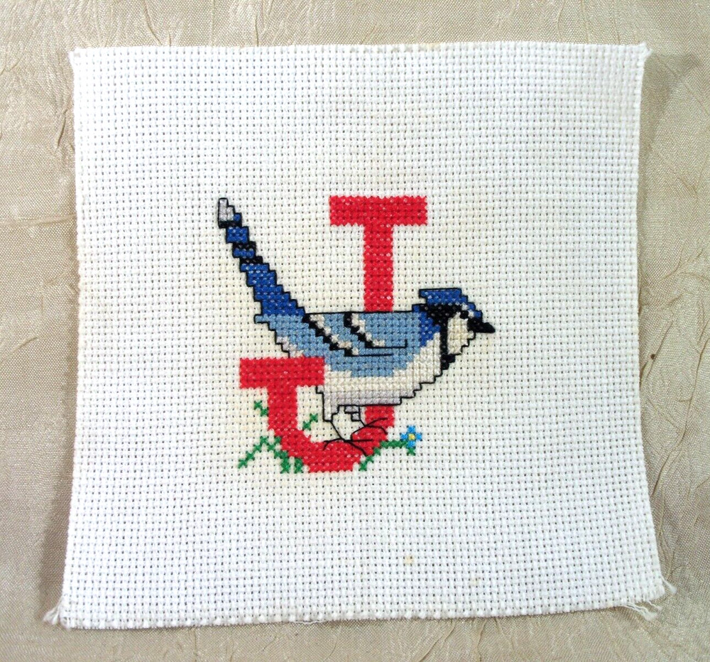 Finished Cross Stitch Letter J with Jay Bird Alphabet  Sampler 6" x 6" unframed