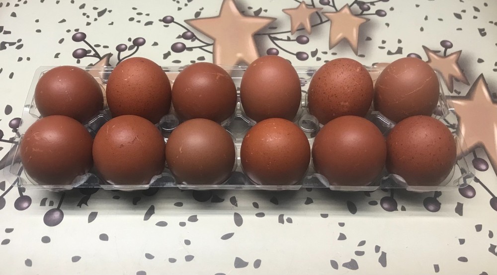 10++ Black Silver, Blue Silver, Splash - BBS Marans Hatching Eggs