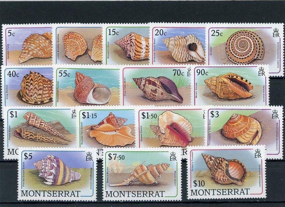 Montserrat 1988 Shells Scott# 681-96 Mint NH