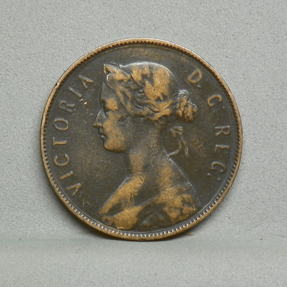 NEWFOUNDLAND 1880 1 CENT, Fine (CP-12)