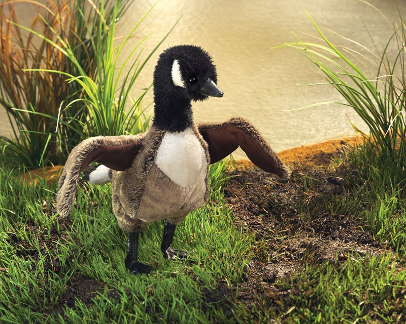 Folkmanis Canada Goose