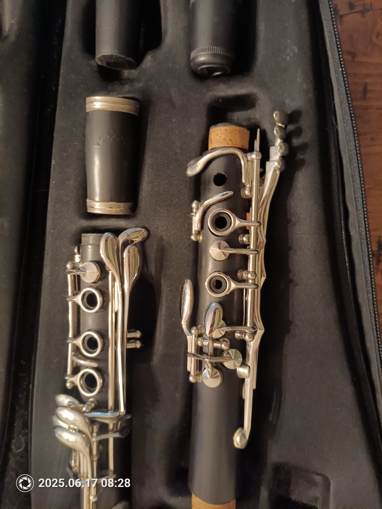 Borg Black Silver Standard Clarinet Set With Case (Untested)