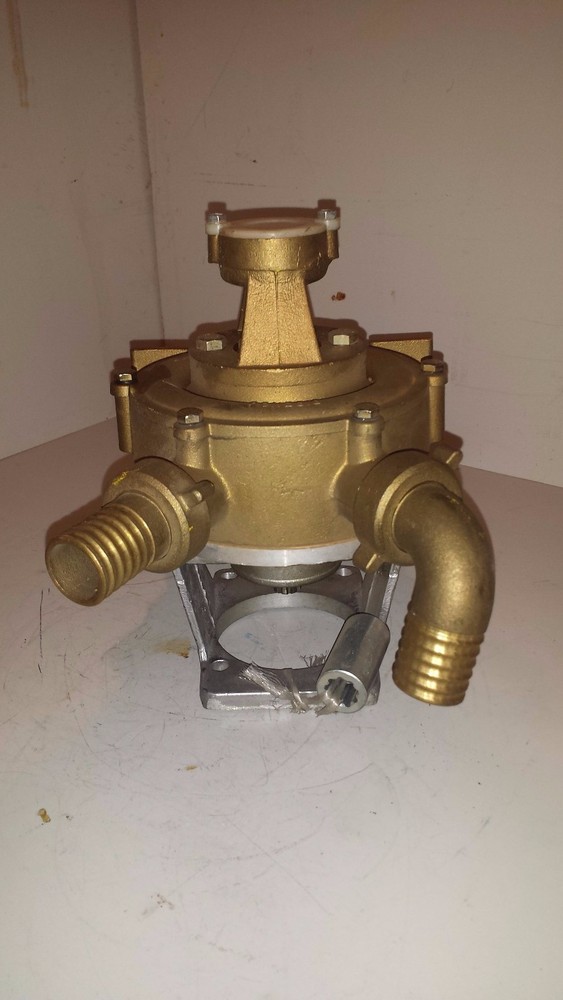 Bisenso Transfer Pump