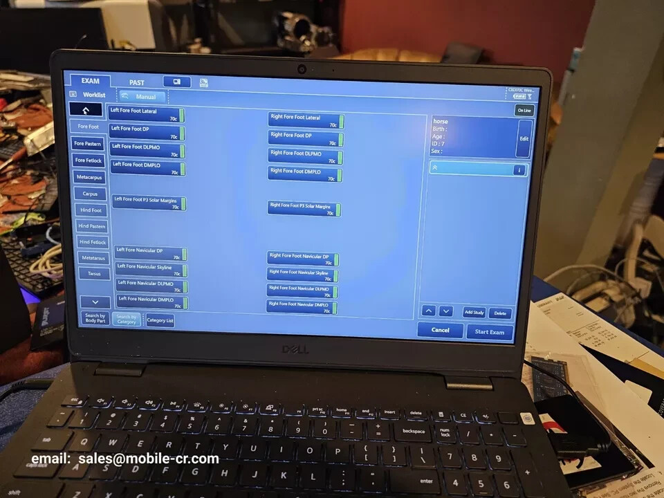 Equine Portable Veterinary DR panel