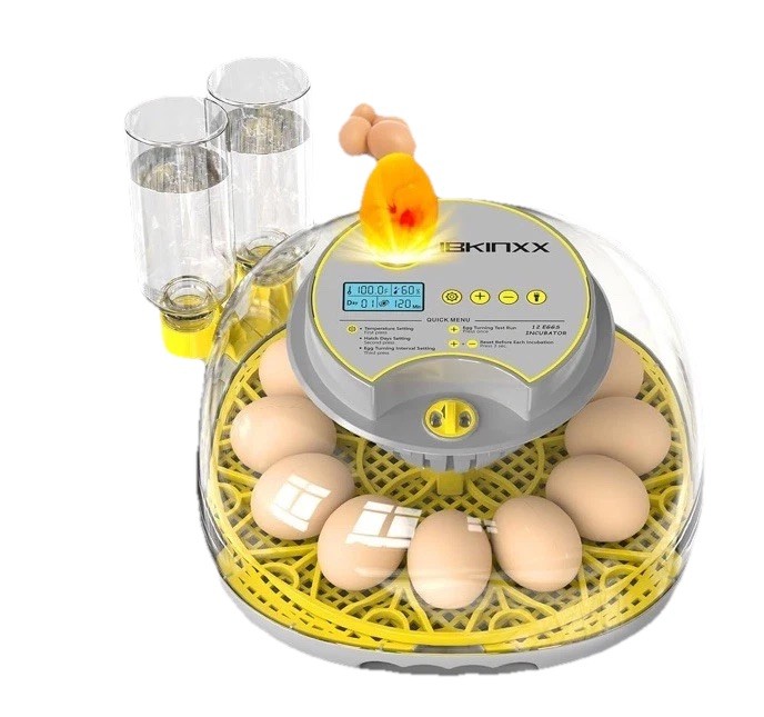 Incubator for Hatching Eggs-12 Egg Capacity, Automatic Egg Turner, Temperatur...