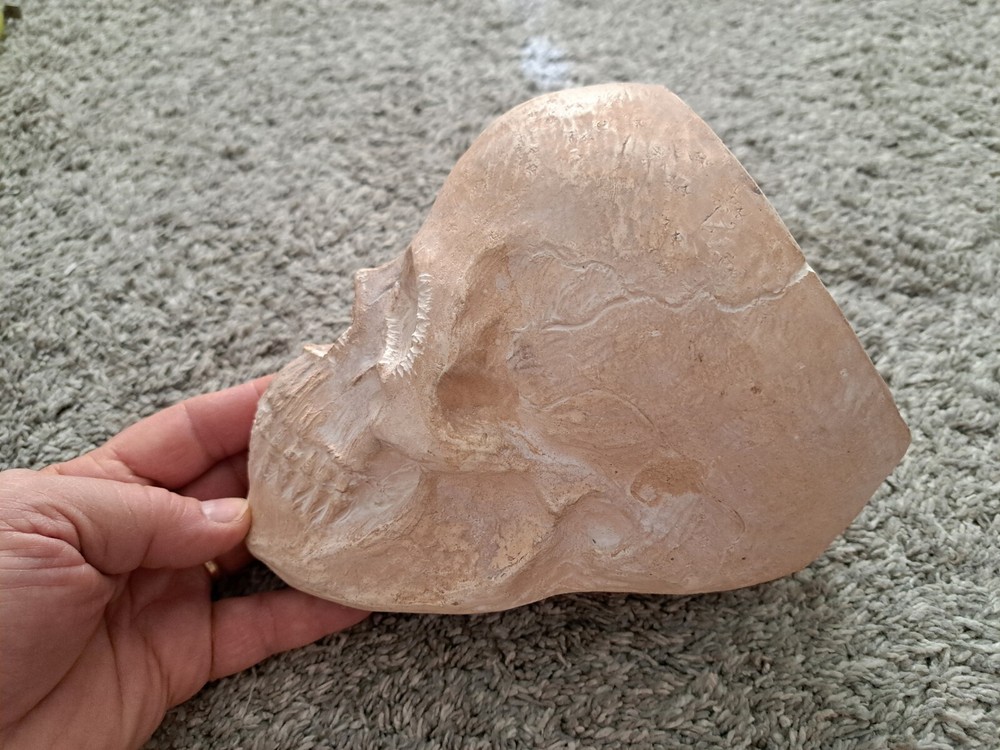Skull