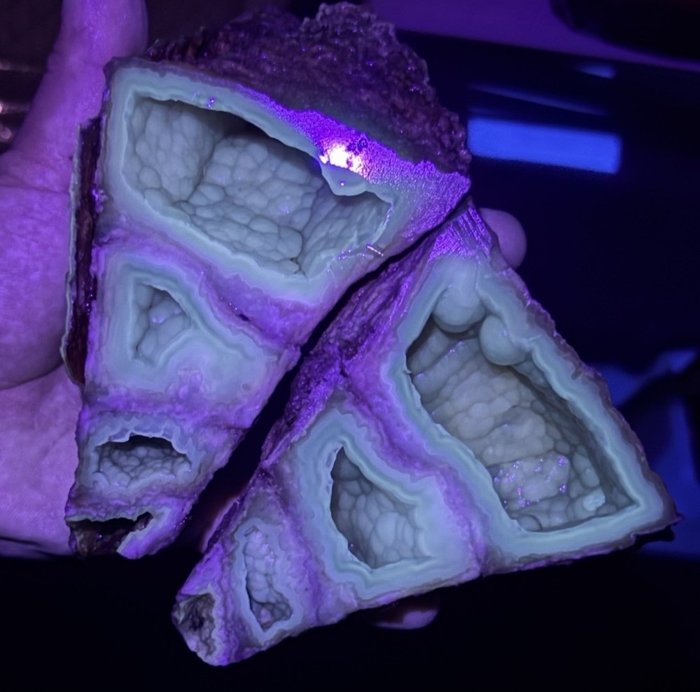Agatized Coral Geode Fluorescent Mineral