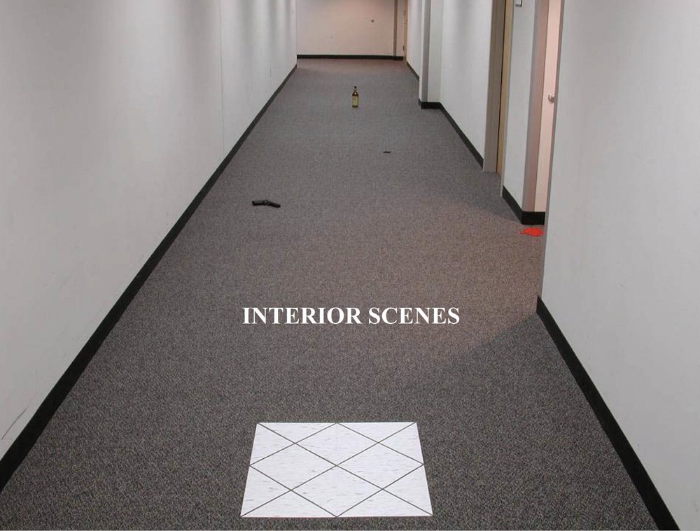 15+ CID CRIME SCENE FORENSICS Death PowerPoint Presentations on CD