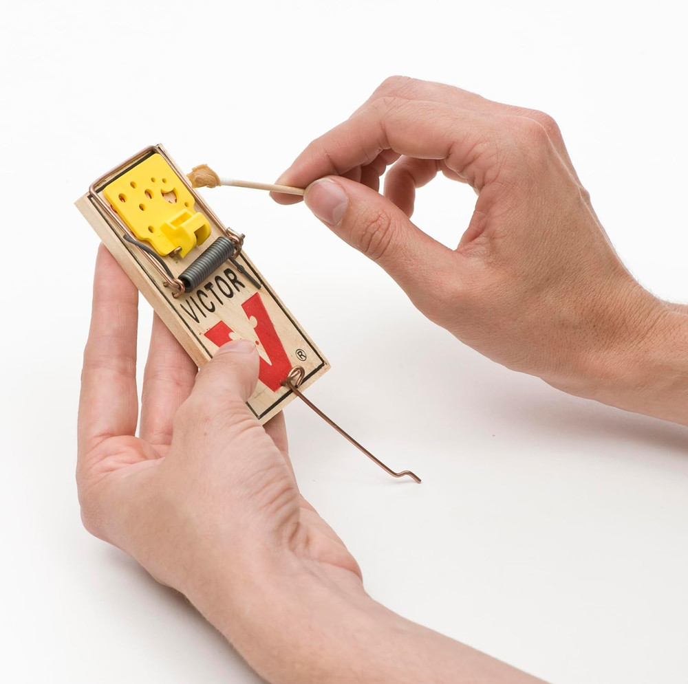 Easy Set Mouse Trap - 2Pk