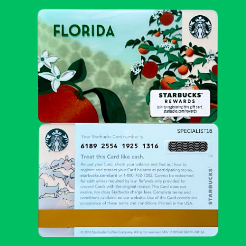 2019 STARBUCKS FLORIDA-Plastic Gift Card #6189