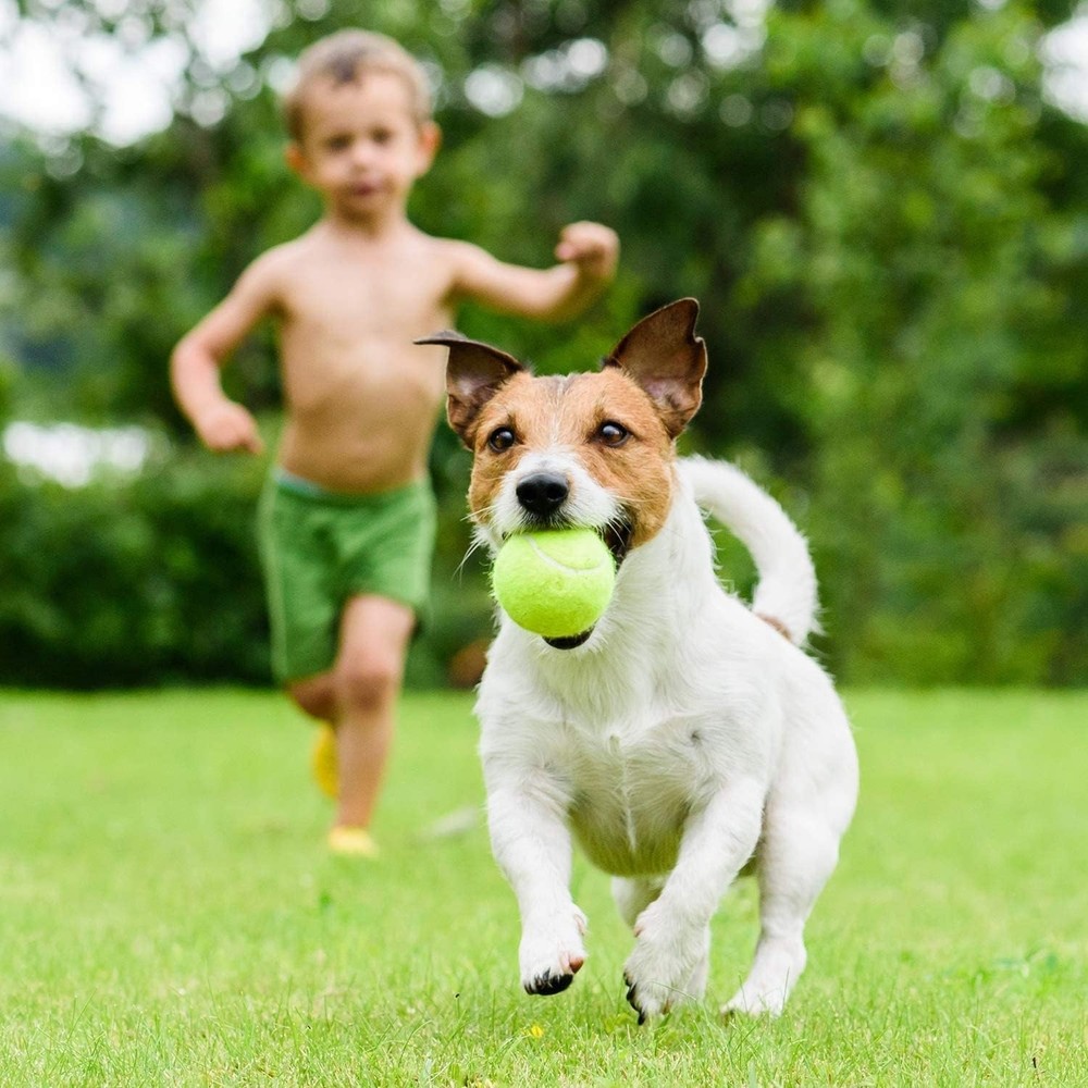 Tennis Training Ball with String,Tennis Trainer Balls Self Practice Trainer Tool