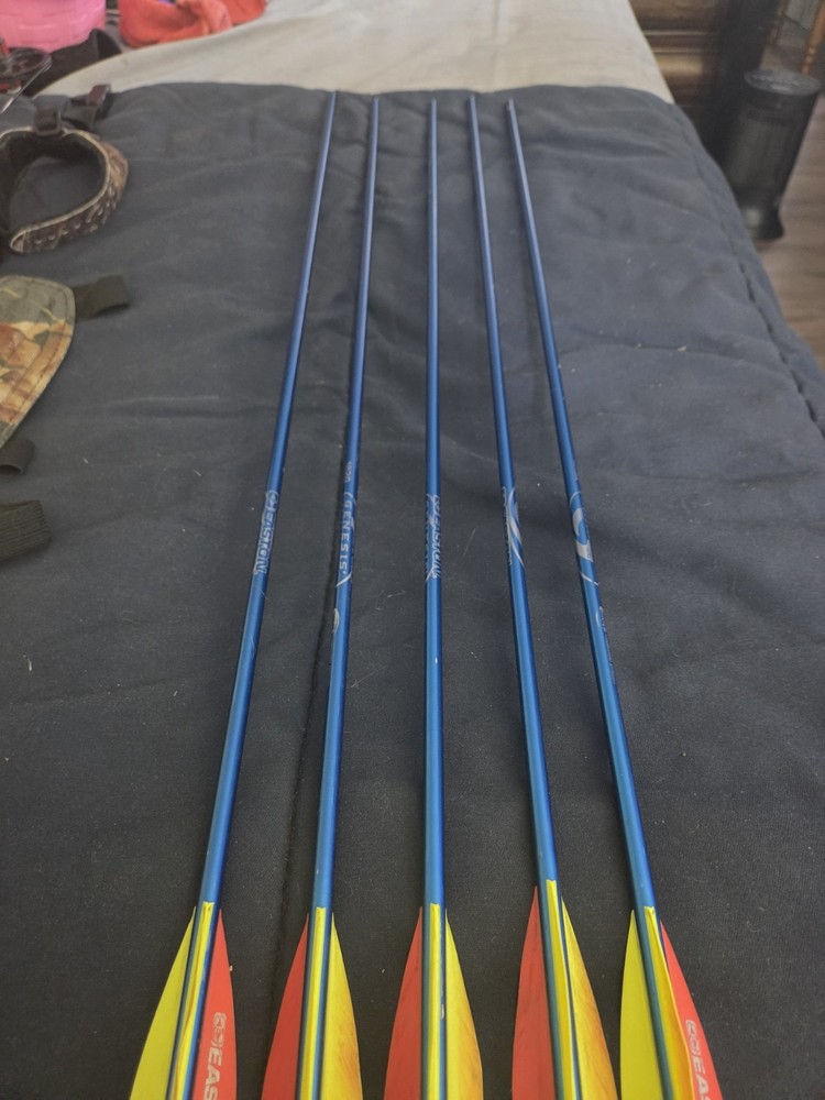 Used Genesis Compound Bow w/TruGlo Sight Starter Bundle