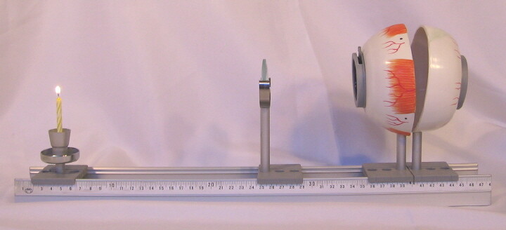 Eye image formation lens teaching demonstration model optics optical school New
