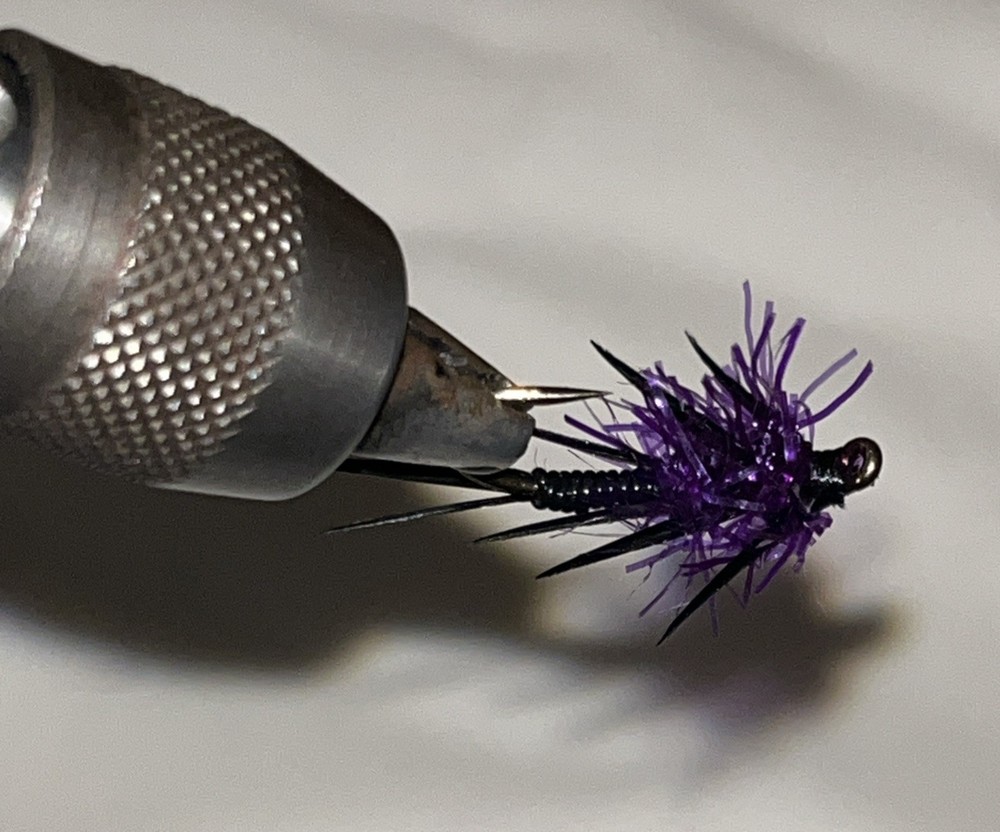 Lake Run Stonefly Purple Size #6 (6ct)