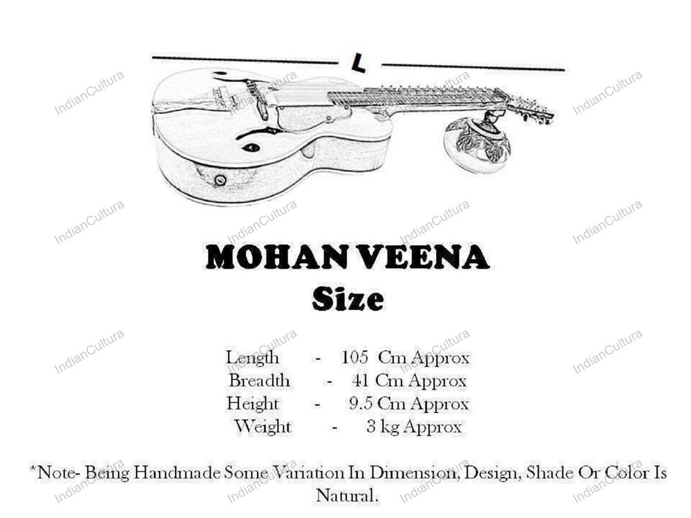 Professional Classical Plucked String Musical Instrument MohanVeena Slide Guitar