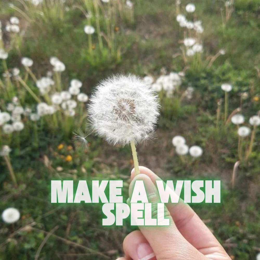 Make a Wish Spell Ritual Kit: Manifestation & Intention Alignment