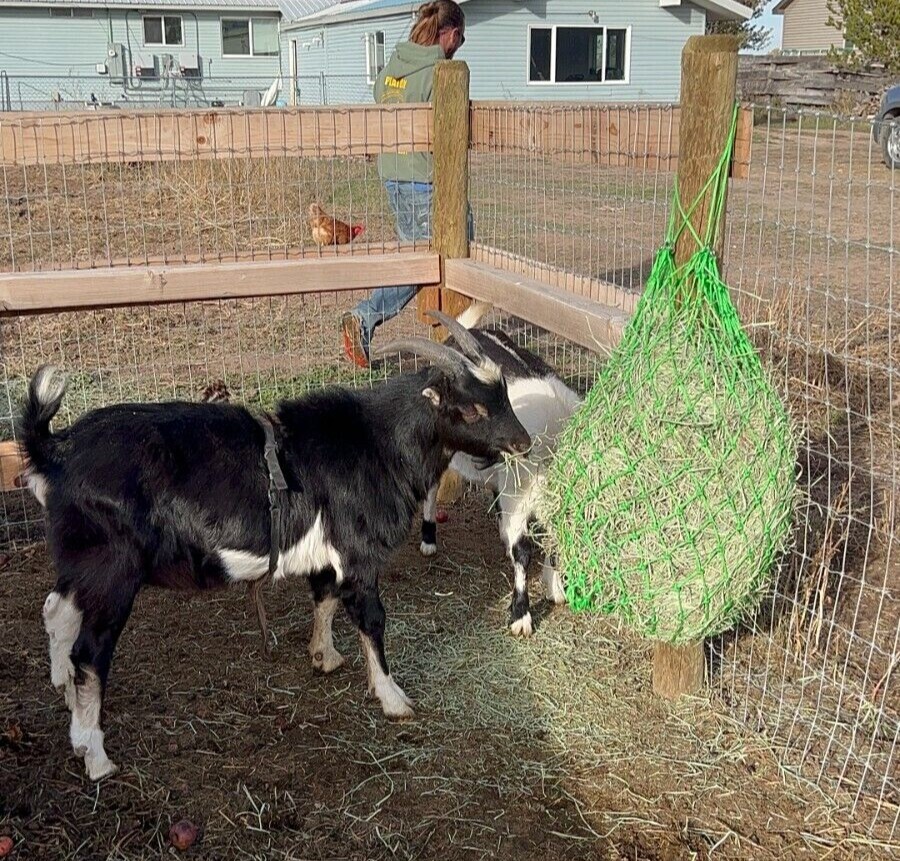 Small square hay net