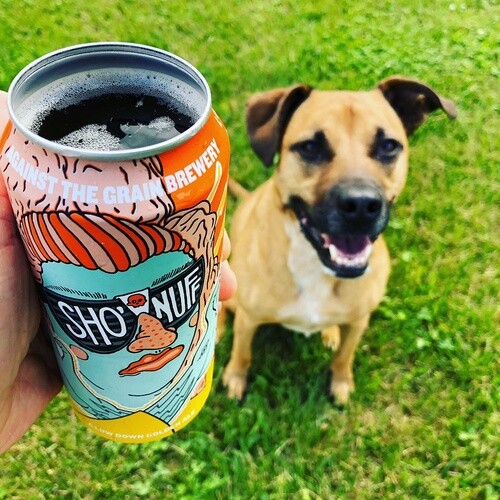 The Draft Top® LIFT | Beverage Can Top Remover - Full Aroma - Turns Can into Cup