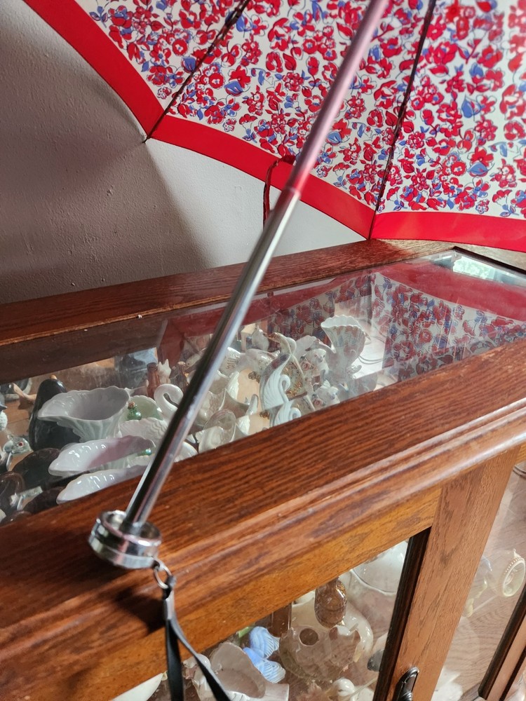 Floral Pattern Women's Folding Compact Umbrella • Blue, White, & Red Colored