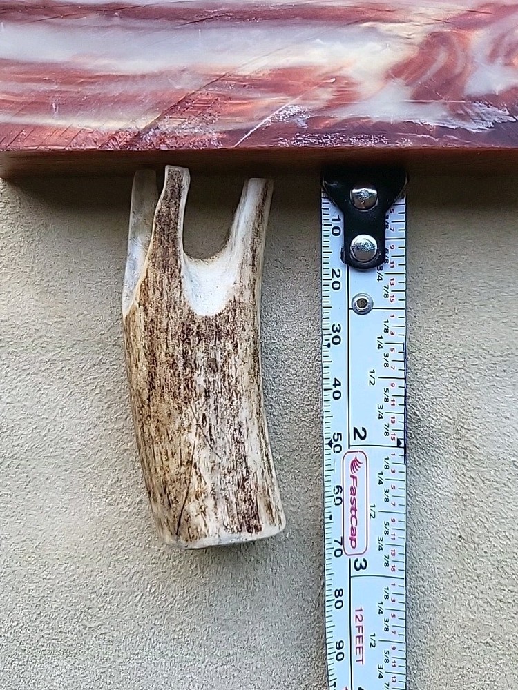 Black Powder Measure Deer Antler 30 grain muzzleloader
