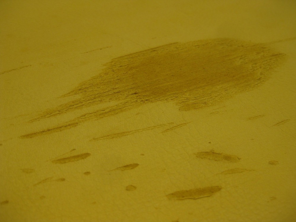 Top Grain Deer Leather #0013879 Row 142