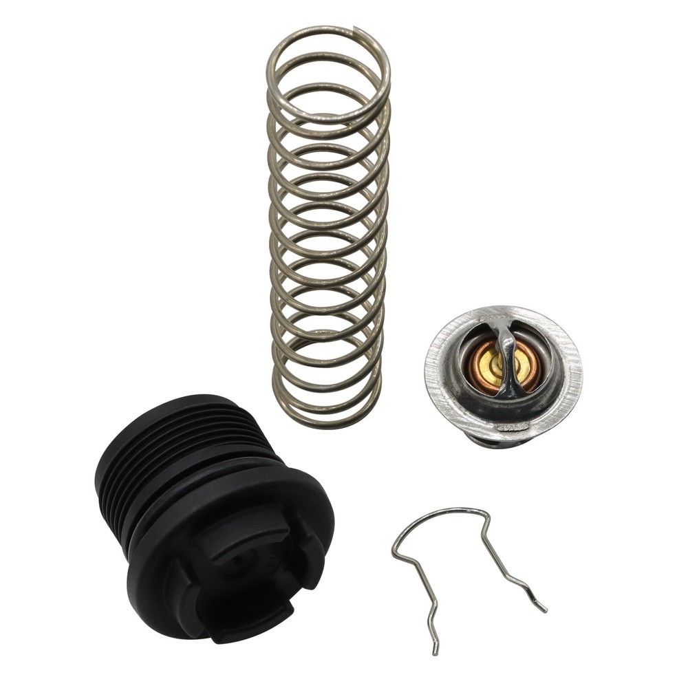 New Thermal Regulator Kit Fits Pentair and Sta-Rite Pool Spa Heaters Temp Parts