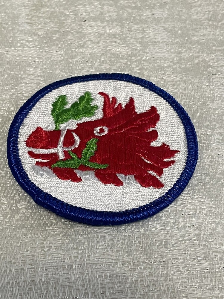 Georgia National Guard Patch , New