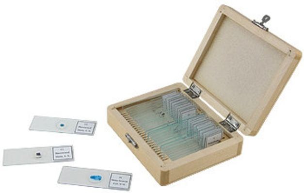 Celestron Prepared Microscope Slides Set - 25 Piece - 44410