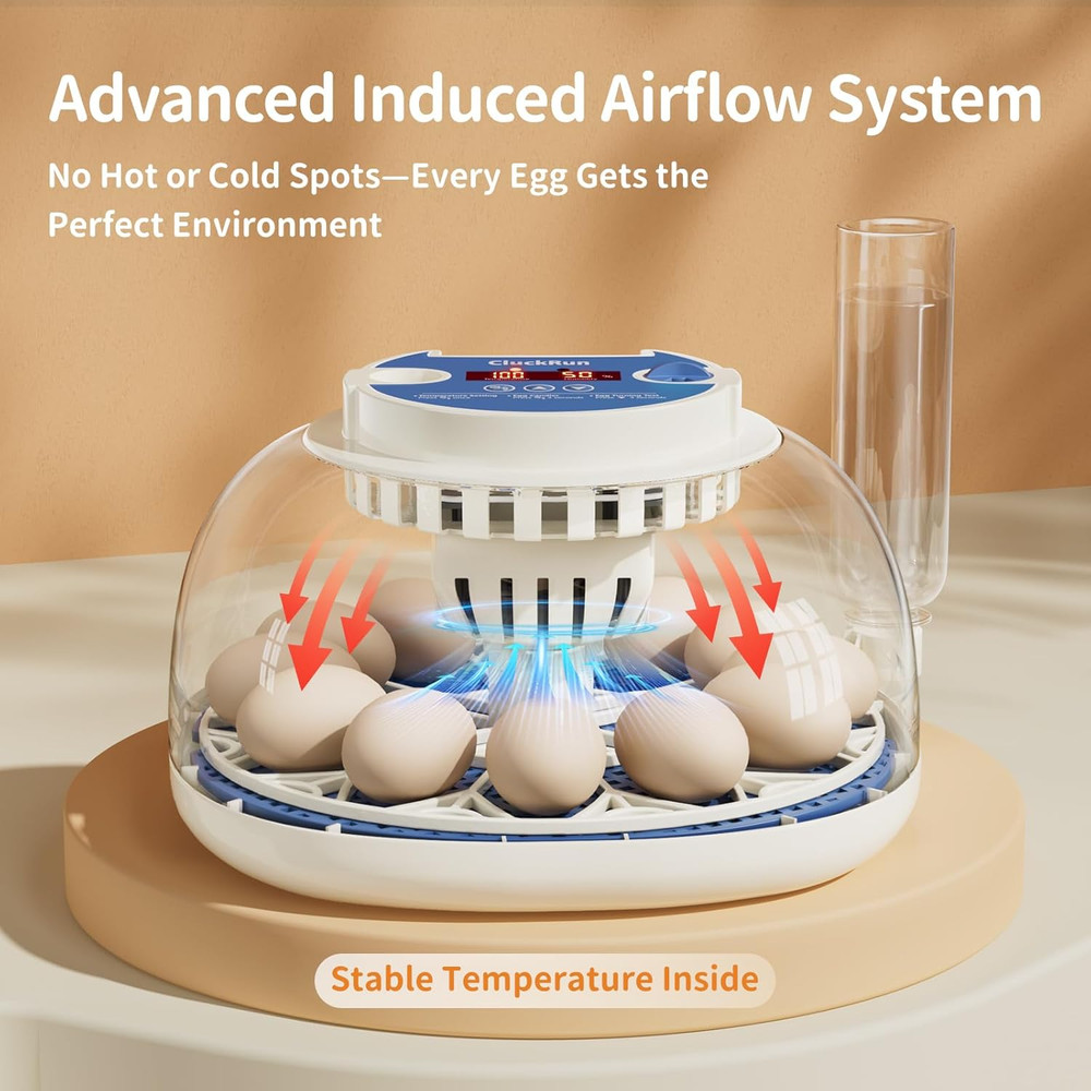 12 Egg Incubators for Hatching Eggs, Temperature and Humidity Control, Automatic
