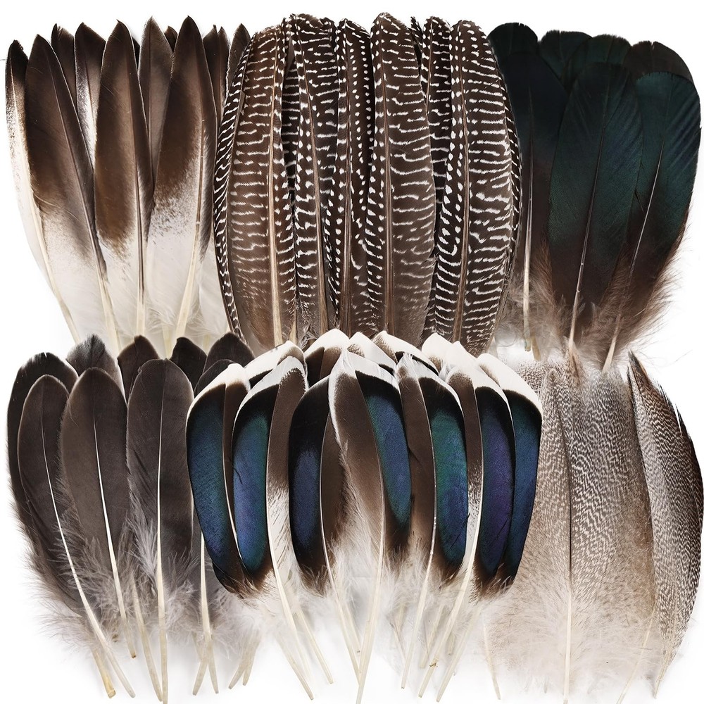 60pcs Natural Pheasant Feathers Bulk Spotted Feathers 6 Styles Mixed Feathers...