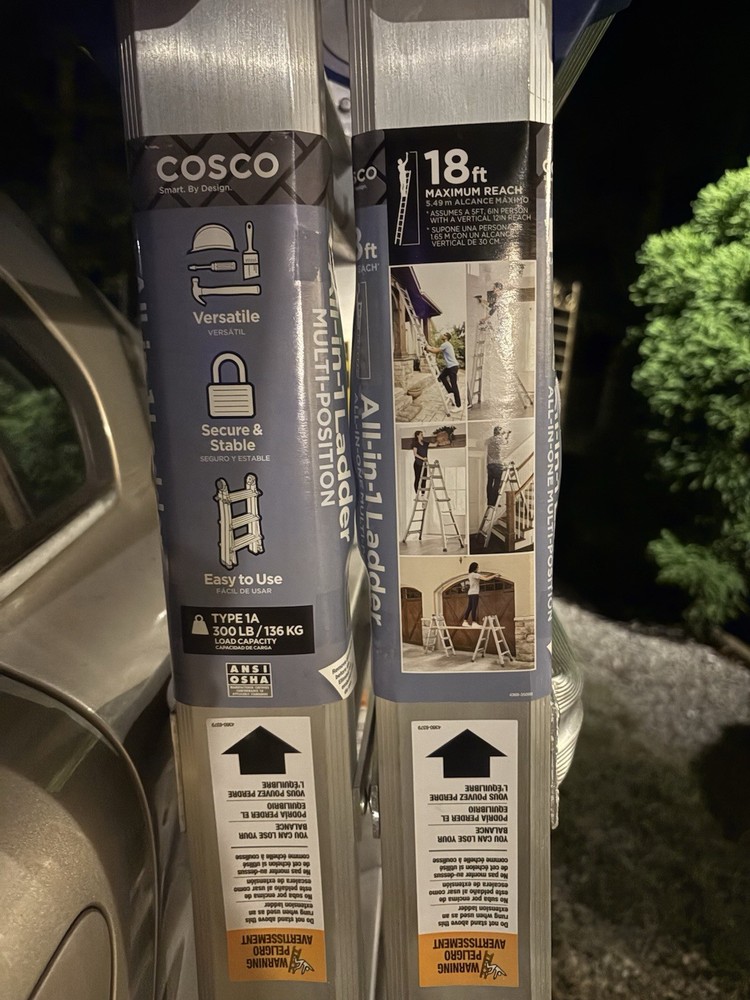 Cosco Multipurpose Ladder