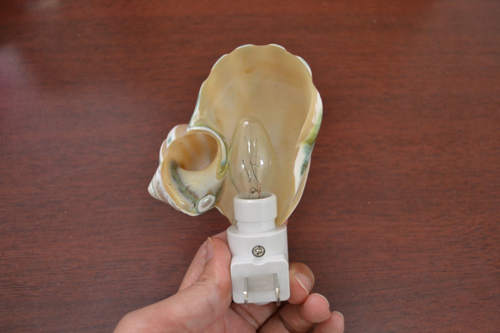 BANDED TURBO SEA SHELL NIGHT LIGHT 7968