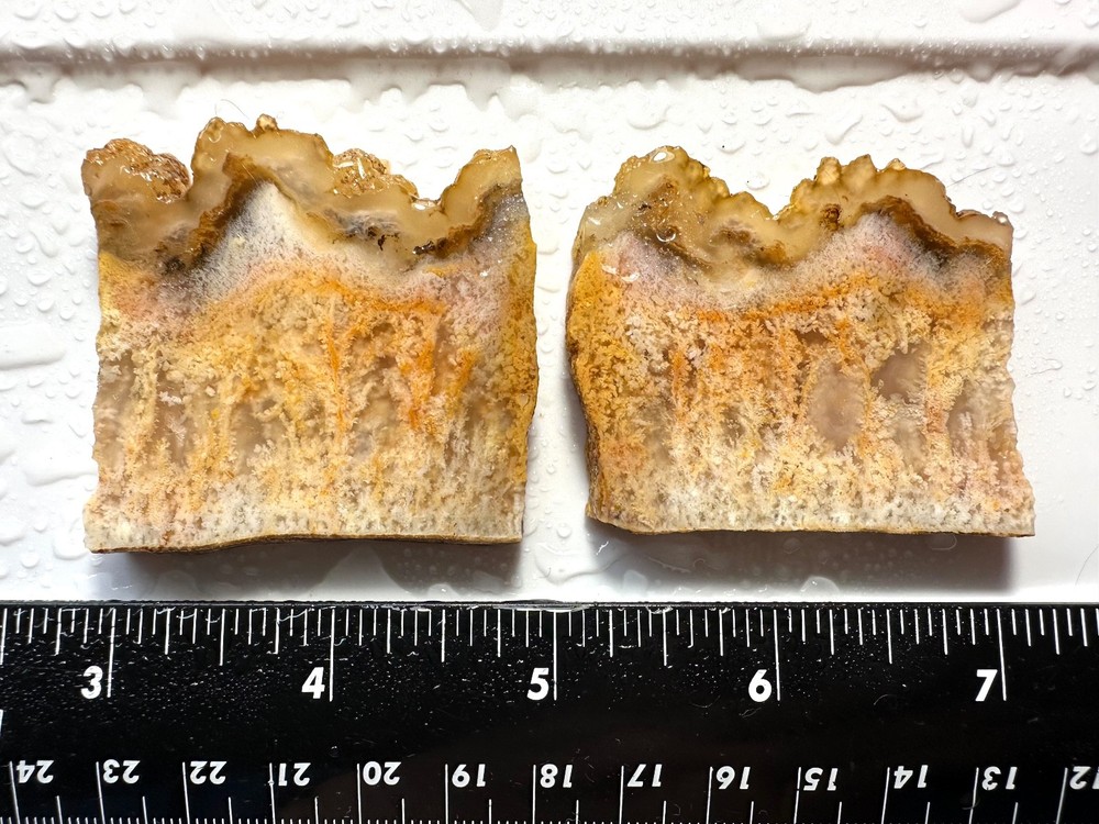Regency Rose Plume Agate Slabs, Pair, OR, Cabbing/Lapidary