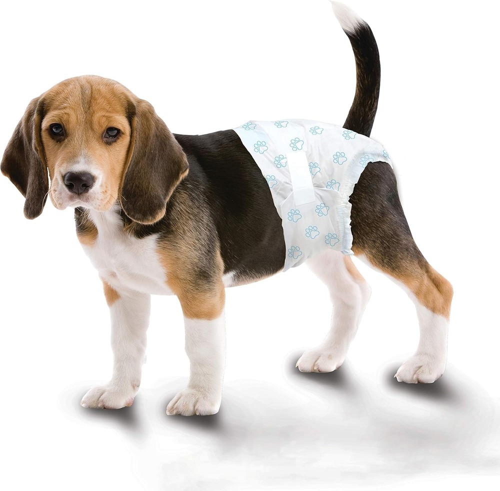 Wee-Wee Super Absorbent Disposable Adjustable Dog Potty Training Diapers, Lea...