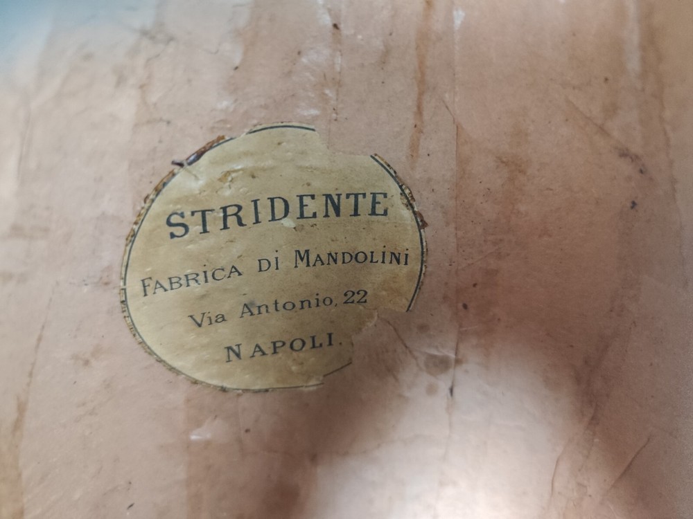 Mandolin 4/4 Strident 1930 Naples 曼陀林 만돌린マンドリン