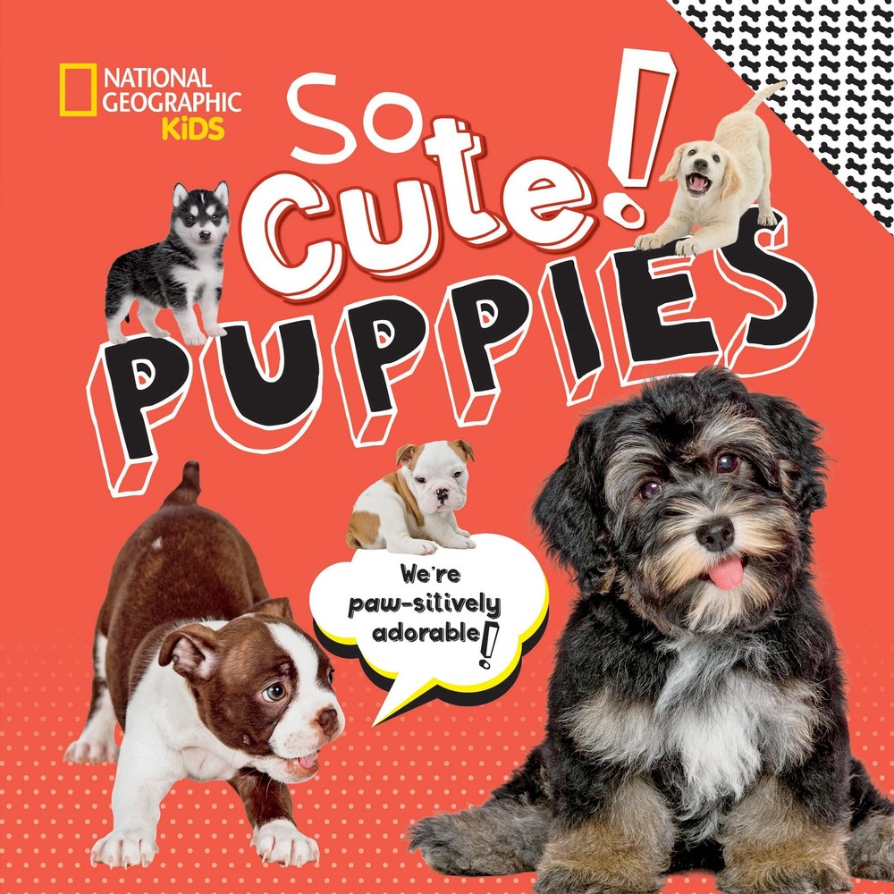 So Cute! Puppies (So Cool/So Cute)