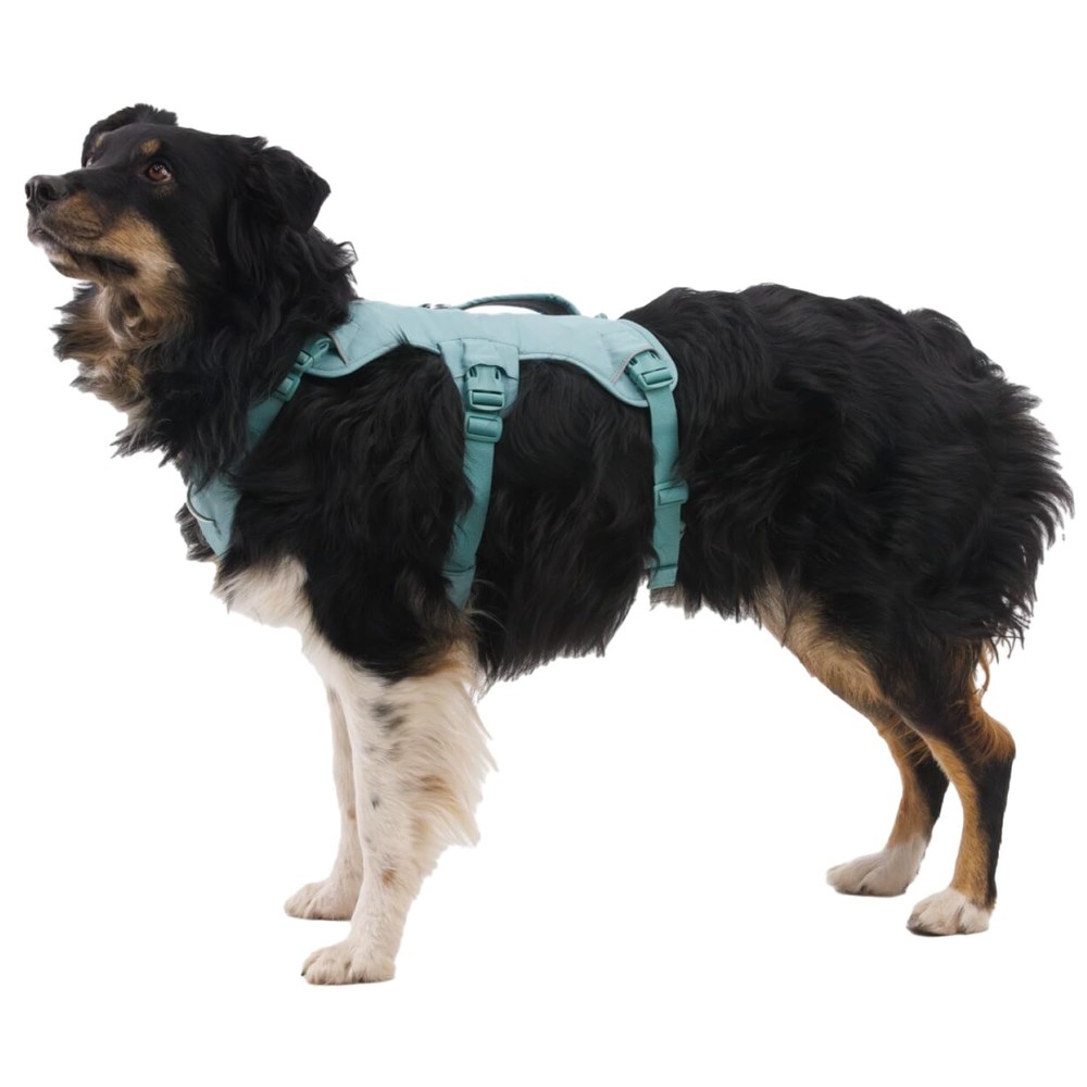 , Web Master, Multi-Use Support Dog Harness, Hiking and Trail Running, Servic...