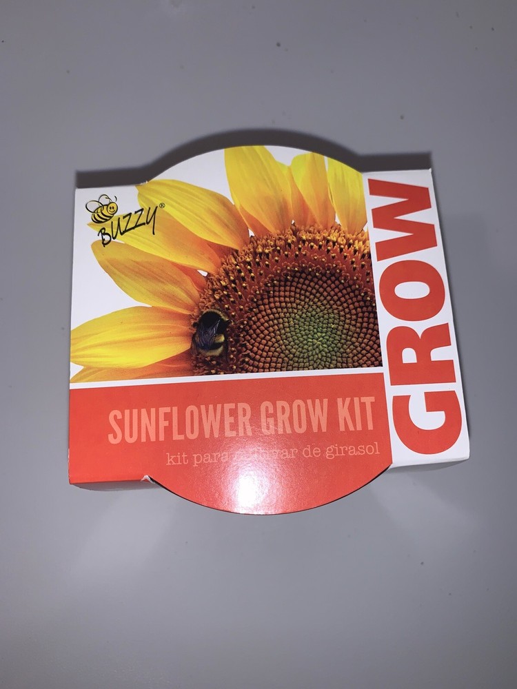 Buzzy Sunflower Growing Kit New #3050