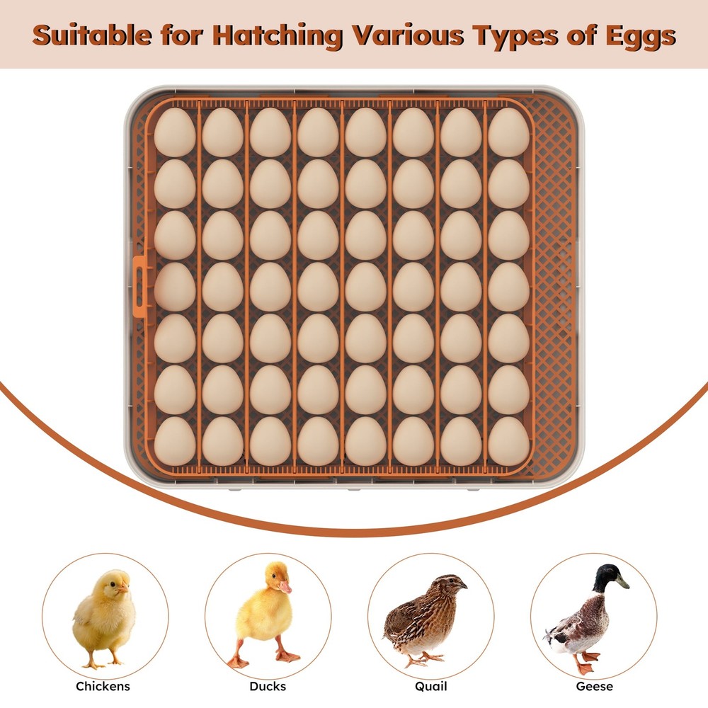 New Automatic Egg Incubators 56 Egg Turning Egg Hatching Temp & Humidity Control