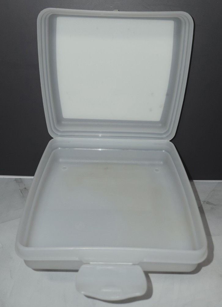 Tupperware Frozen Sandwich Keeper