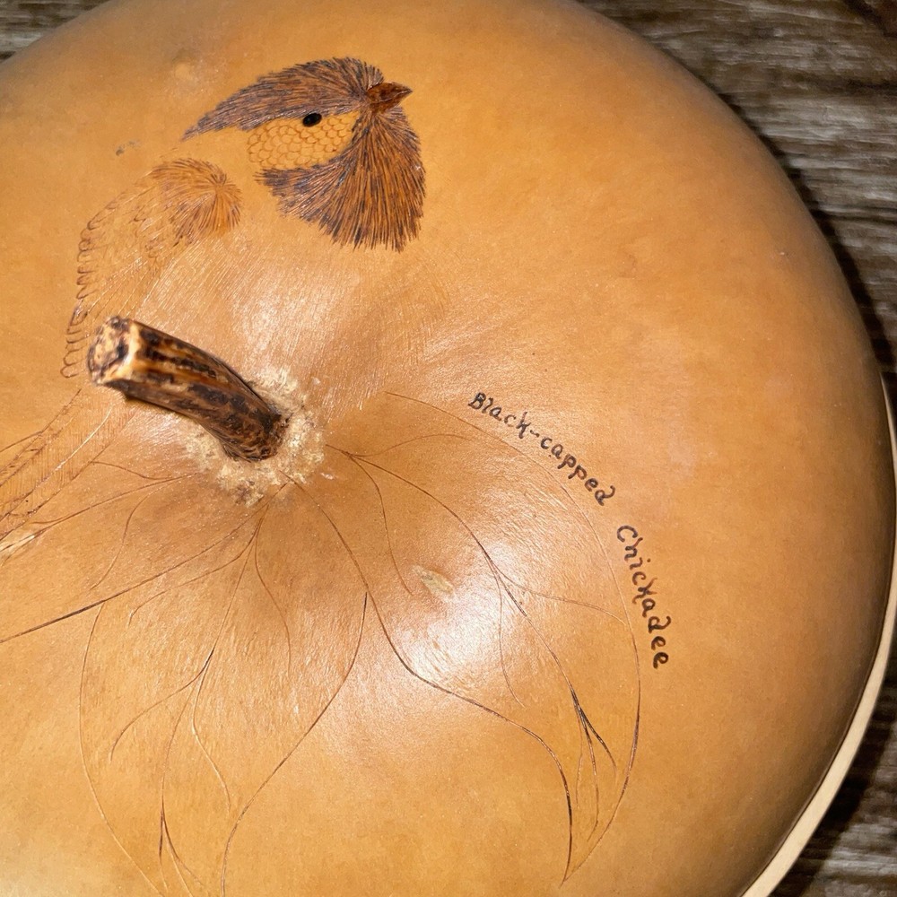 Hand Crafted Gourd With Black-Capped Chickadee-UNIQUE