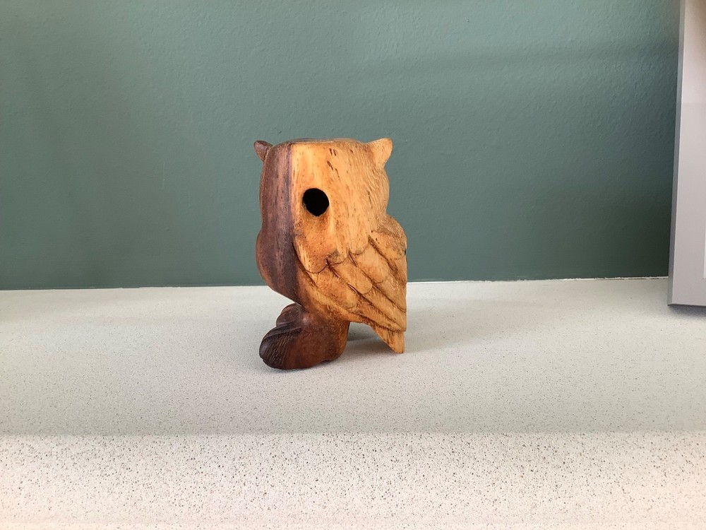 PP Hooting Owl Guiro