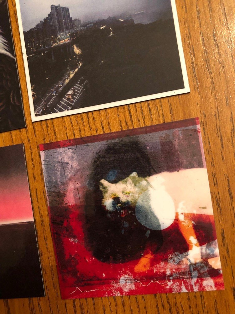 Mogwai fridge magnets