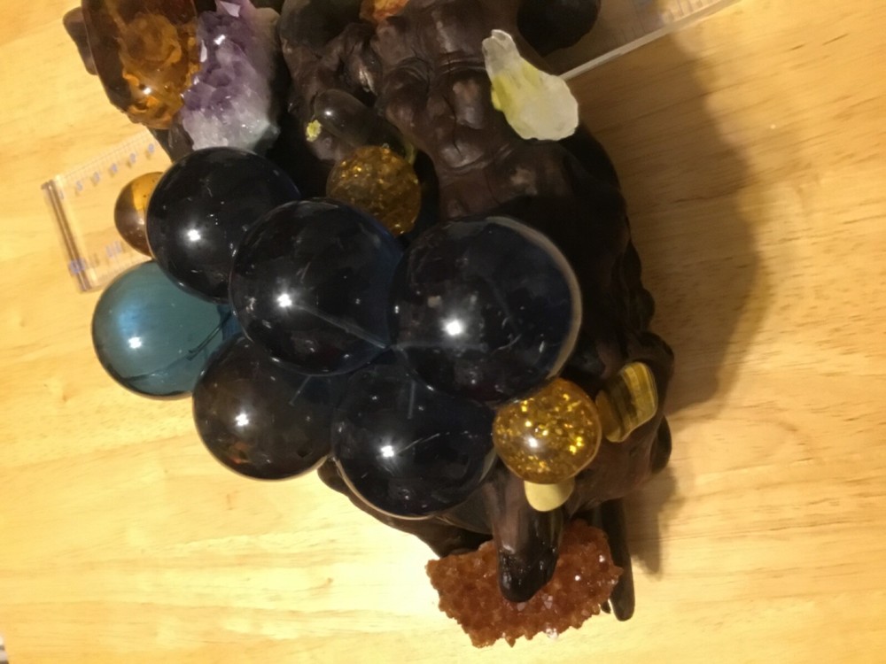 Petrified wood.With. Gems