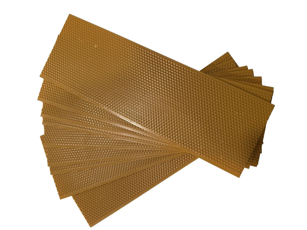 10 PACK Plastic Foundation, Langstroth for MEDIUM FRAME