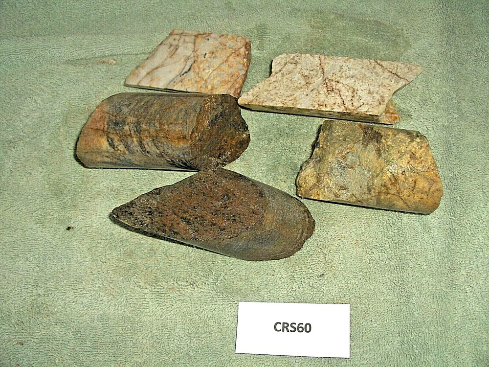 Split Core Samples From Alaska Gold Mine 5 Pieces Drill Core Samples CRS60