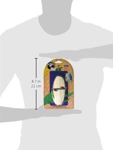 Penn-Plax Cuttlebone with Holder - Medium