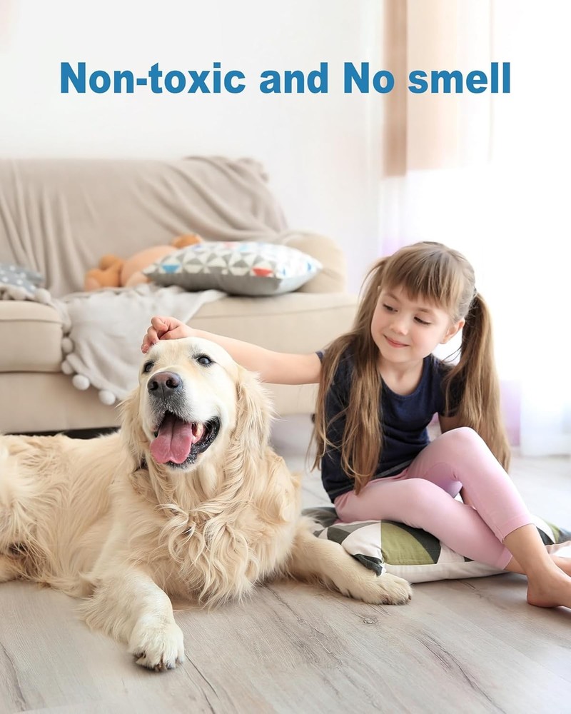 Insect Trap Glue Card Refill Pack