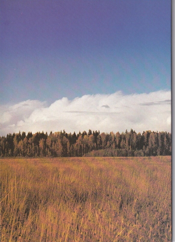 Latvia 1995 COMPLETE YEAR 23 values+2 S/S Post Office folder Cat=€31