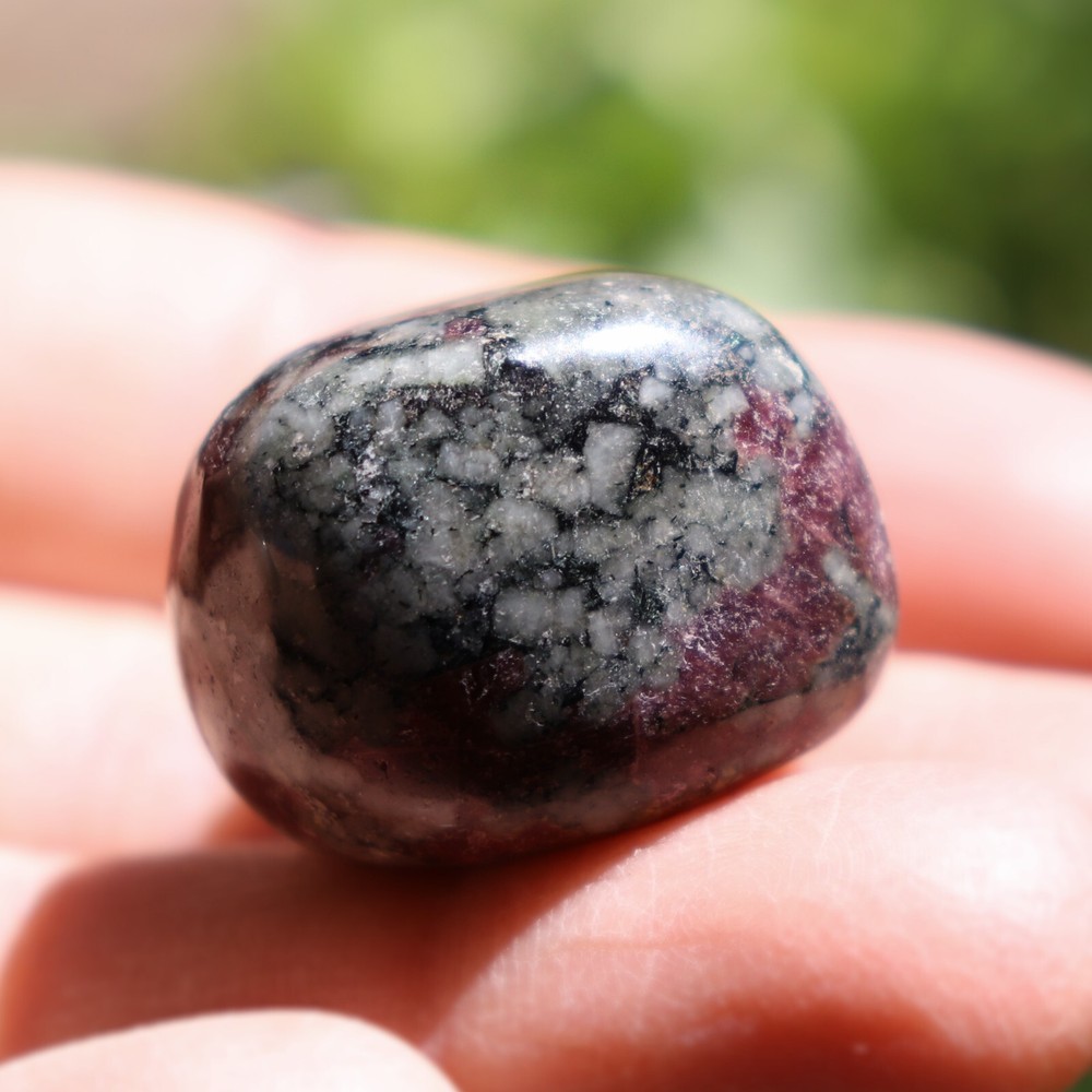 Polished Eudialyte, Fluorescent Mineral (EUD23)